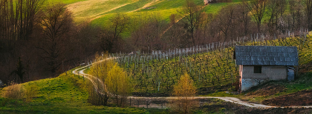 Podezelje-visit-Podcetrtek-Slovenija (16) 1091x400