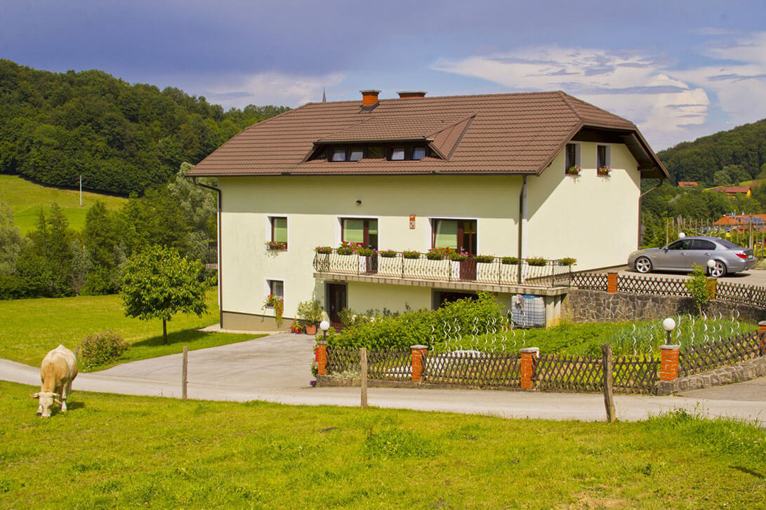 TIC-nastanitve-galerija-Mraz1-1091x727