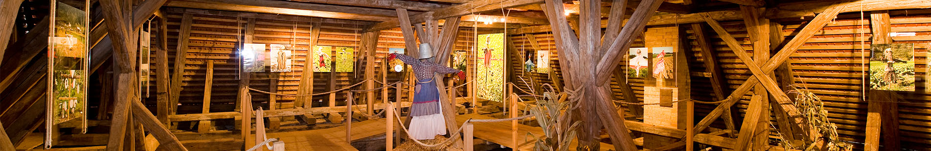 TIC-notranja-pasica-dozivetje-SpoznajmoKozjansko-1903x310