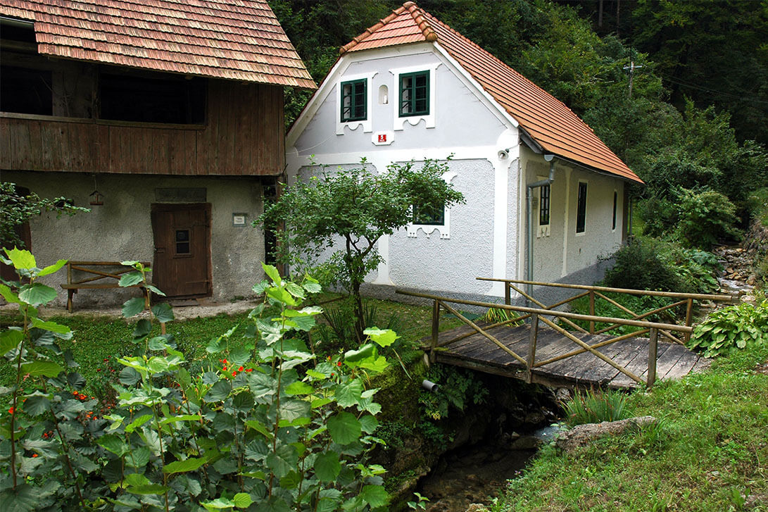 fJZ25m fJZ25m